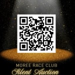 Bid on Silent Auction, Purchase Raffle Tickets or Donate to WRHS