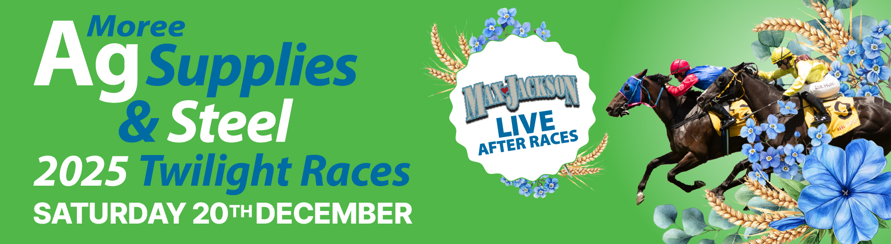 MRC_website banner twilights 2025