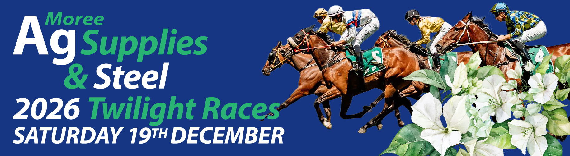 MRC_website banner TWILIGHTS